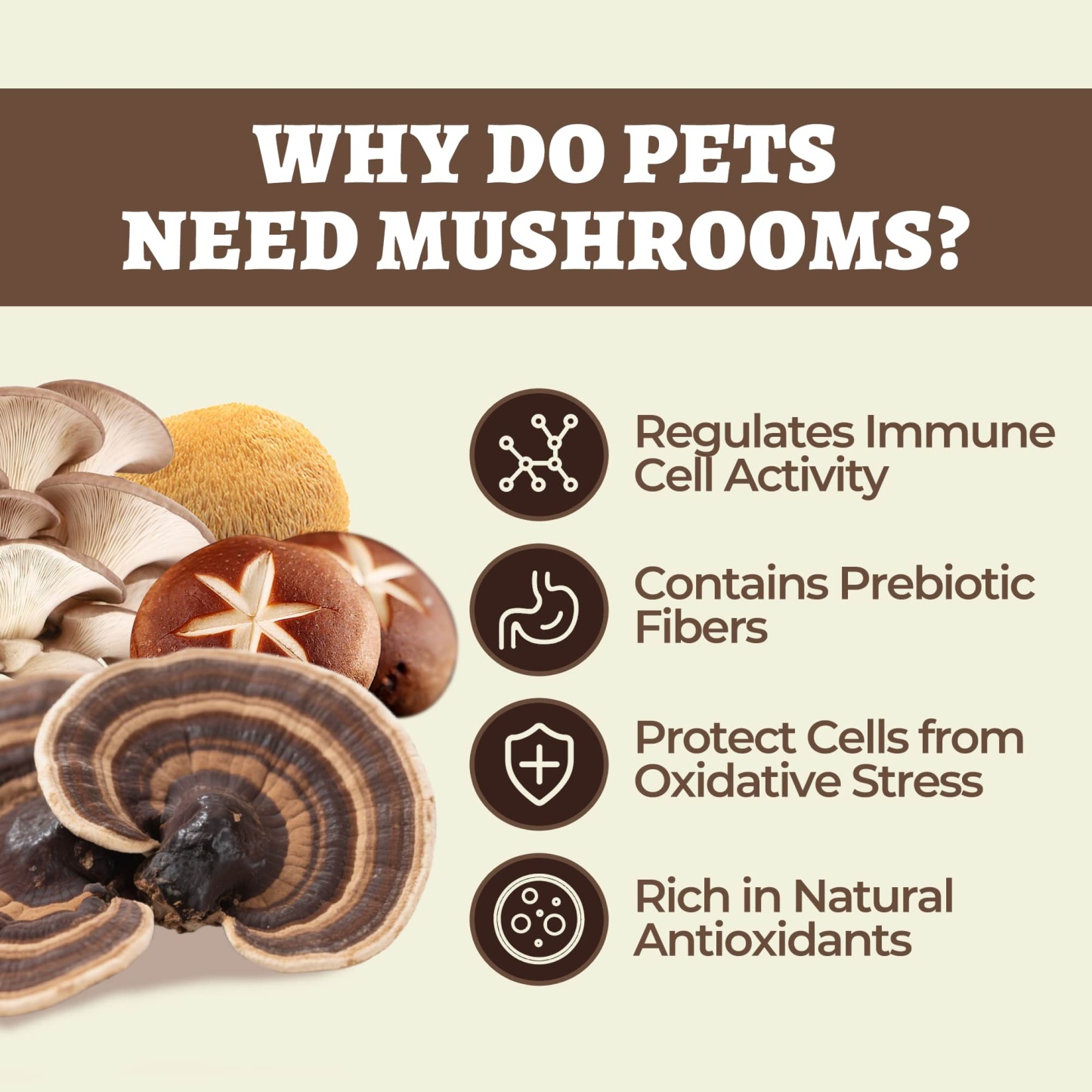 Wellix Mushroom Powder Powder for Dogs & Cats – With 8 Mushroom Blend Including Turkey Tail, Supports Immune, Digestive & Kidney Health-CritterCorner