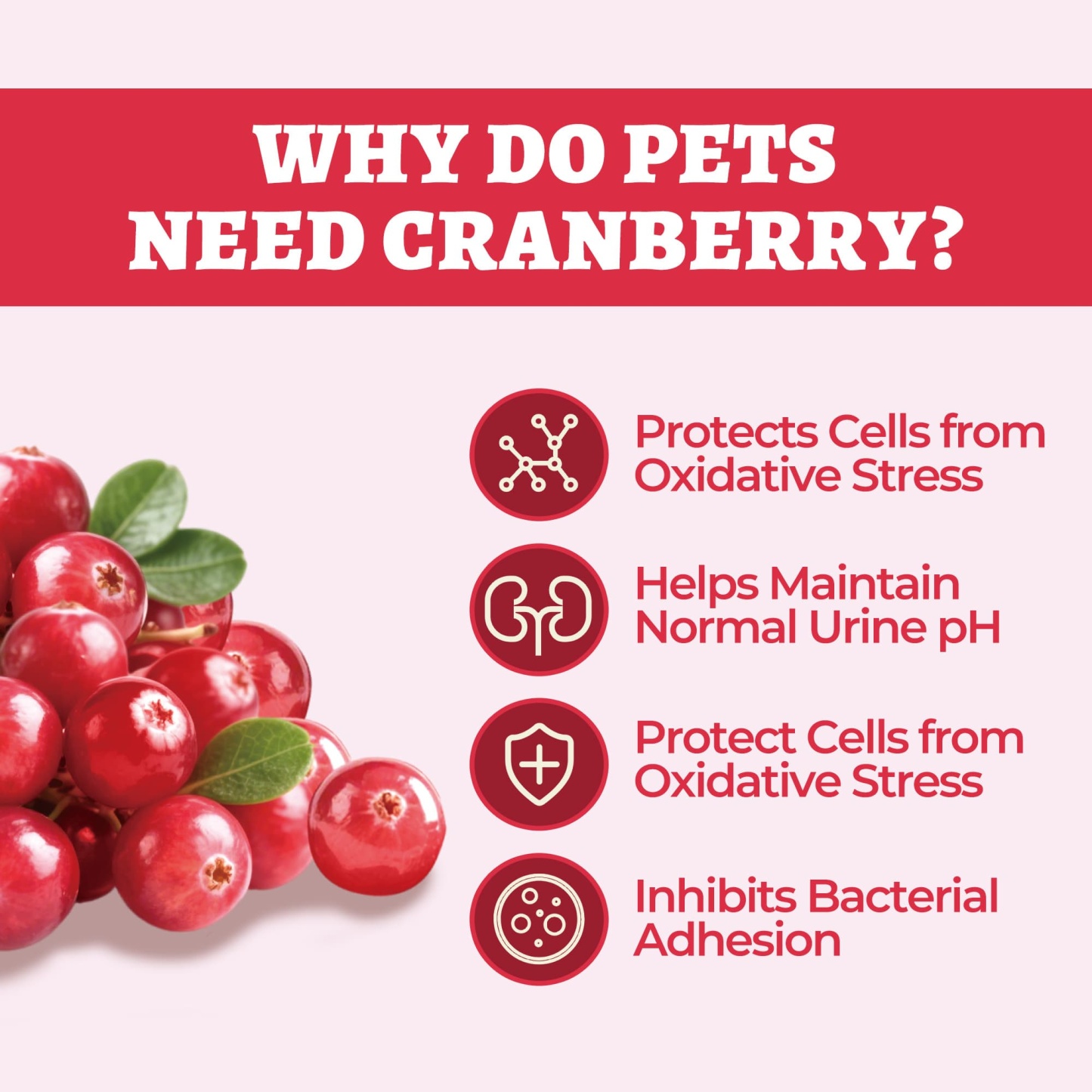 Wellix Urinary Powder for Dogs & Cats – 8.8 oz with D-Mannose & Cranberry Powder for UTI, Bladder & Kidney Support-CritterCorner