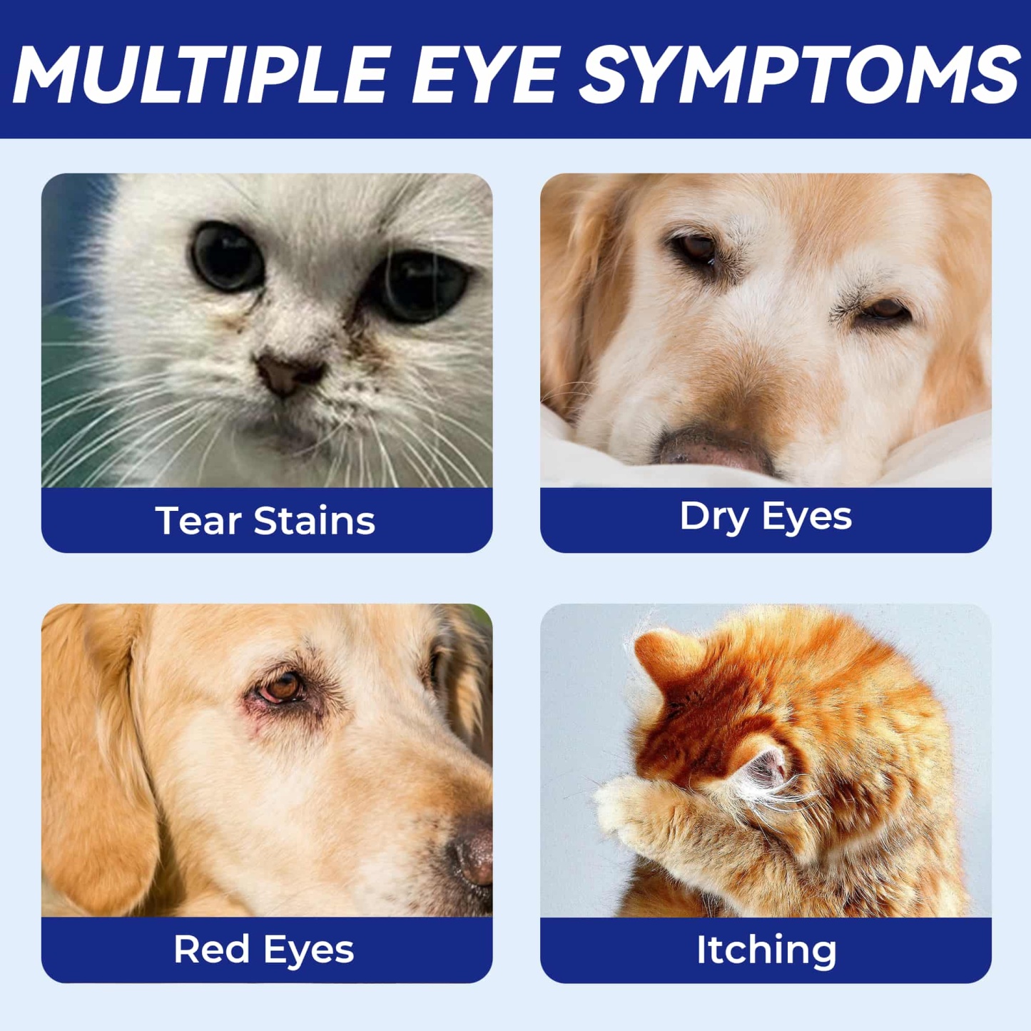 Wellix Pet Eye Drops – 60ml Blueberry Soothing Formula for Eye Allergy & Infection Treatment -CritterCorner