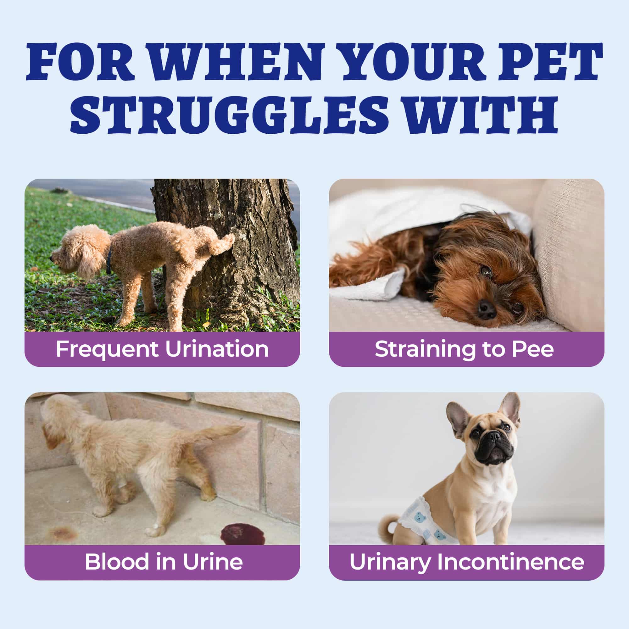 Wellix Urinary Bites for Dogs – 260 Count with Cranberry & D-Mannose for Urinary, Bladder & Kidney Support-CritterCorner