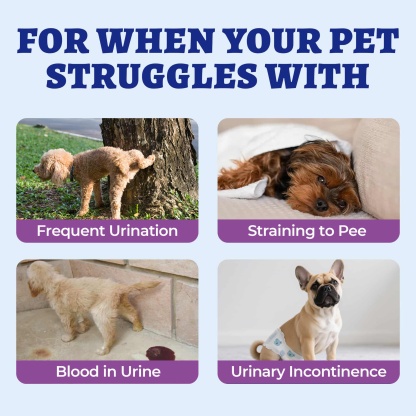 Wellix Urinary Bites for Dogs – 260 Count with Cranberry & D-Mannose for Urinary, Bladder & Kidney Support-CritterCorner