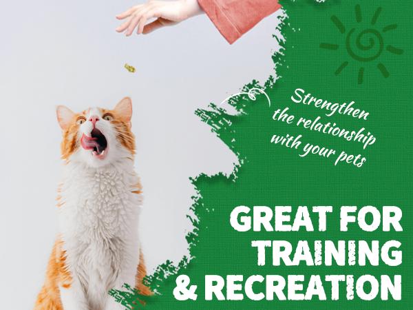 JUST TRY 13.4 OZ Cat Grass Treats Natural Salmon Flavor Healthy Cat Snacks Training Biscuits Catnip for Cats Dental and Hairball Control Treats