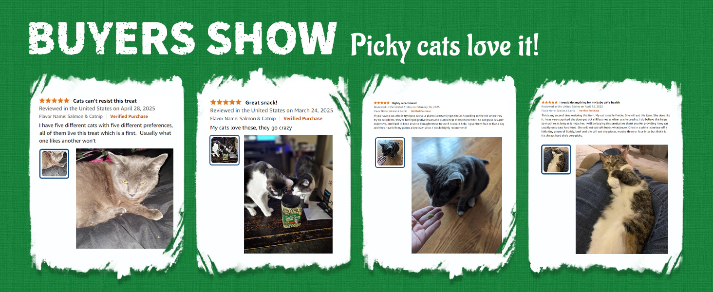 Kale &amp; Spinach Cat Treats for Indoor Cats