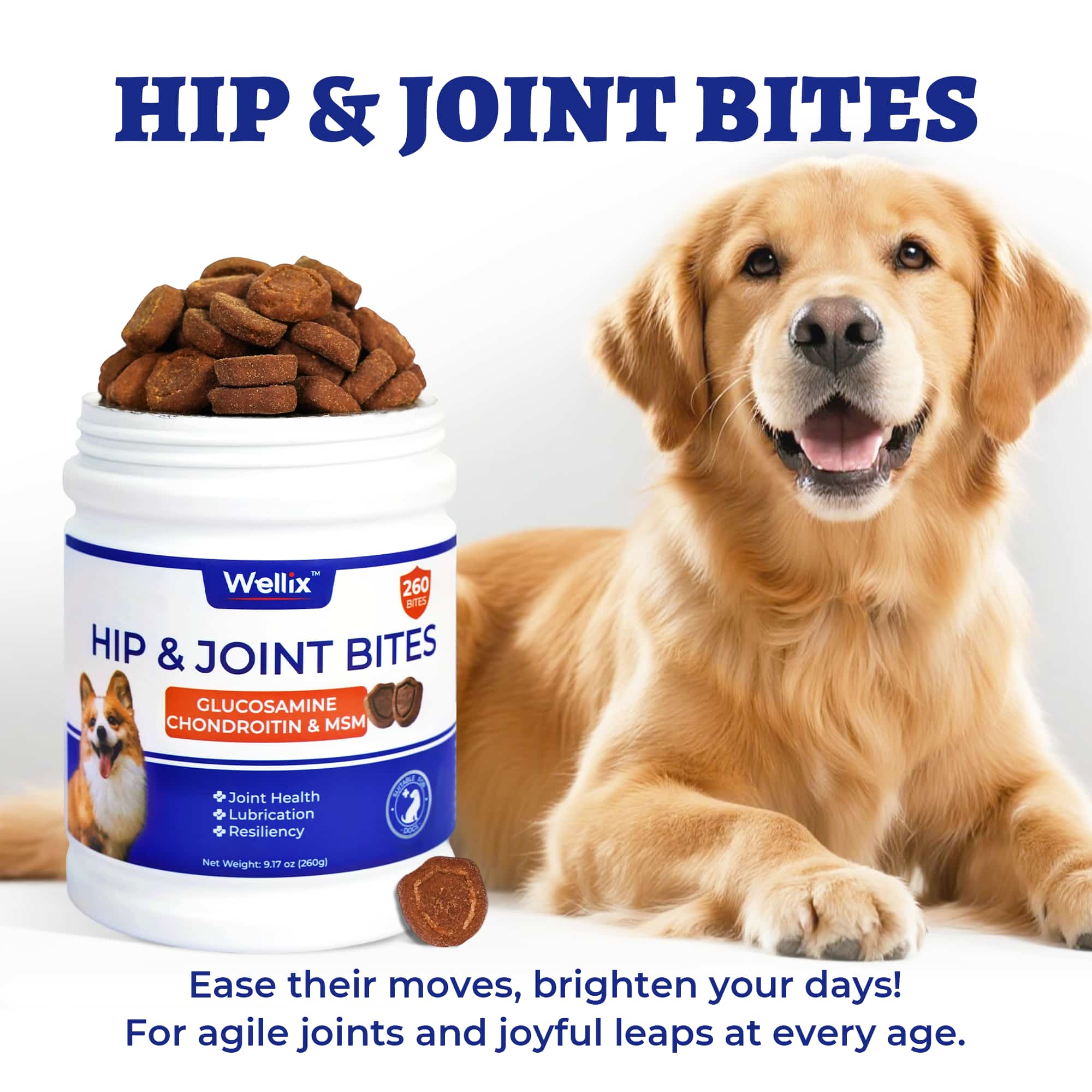 Wellix Dog Hip & Joint Bites – 260 Count Joint Supplement with Glucosamine, Chondroitin & MSM for Arthritis Pain Relief-CritterCorner
