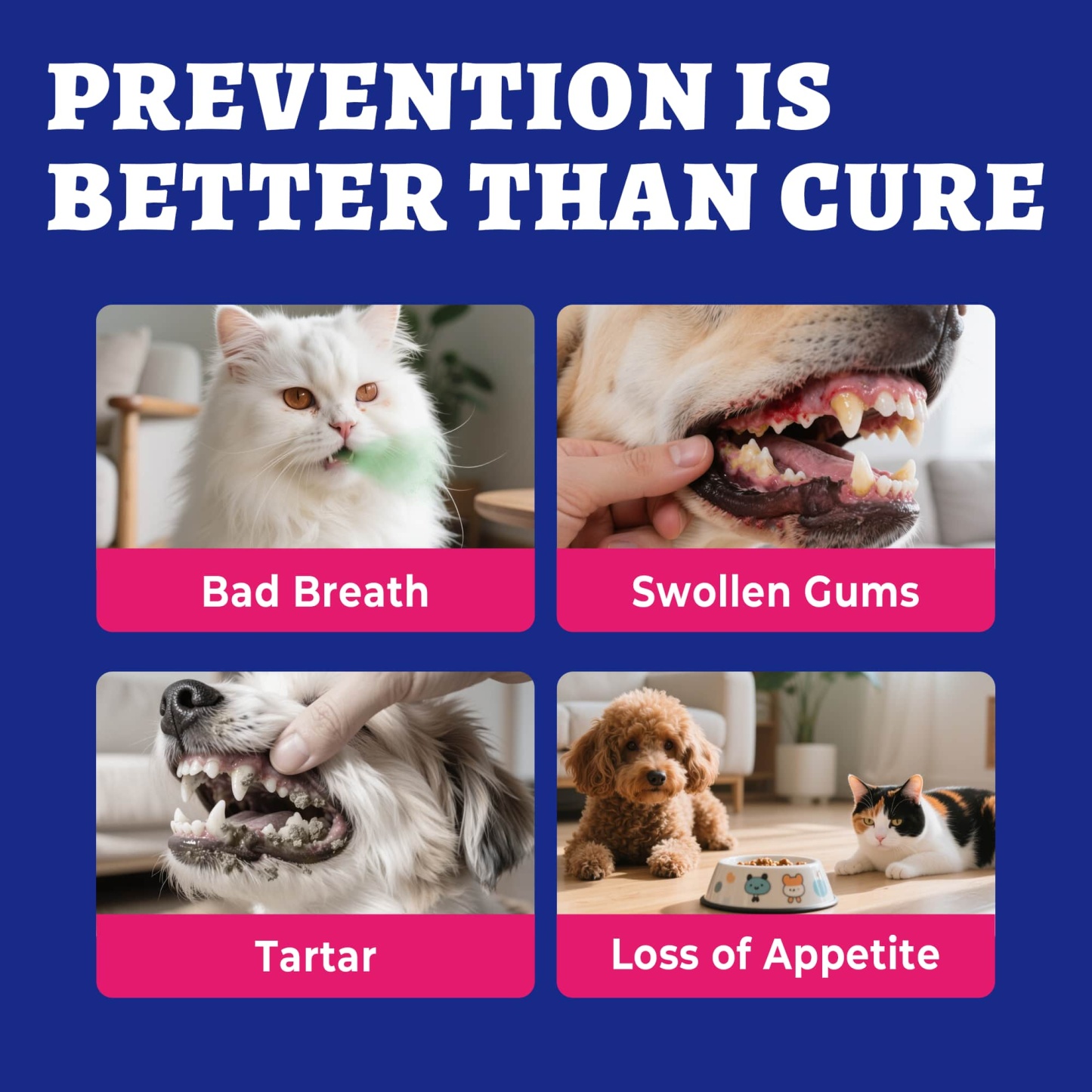 Wellix Cat & Dog Breath Freshener Water Additive - Natural Probiotic & Lysozyme Mouthwash for Teeth Cleaning & Dental Care - Reduces Bad Breath & Plaque - 12.85 fl oz-CritterCorner