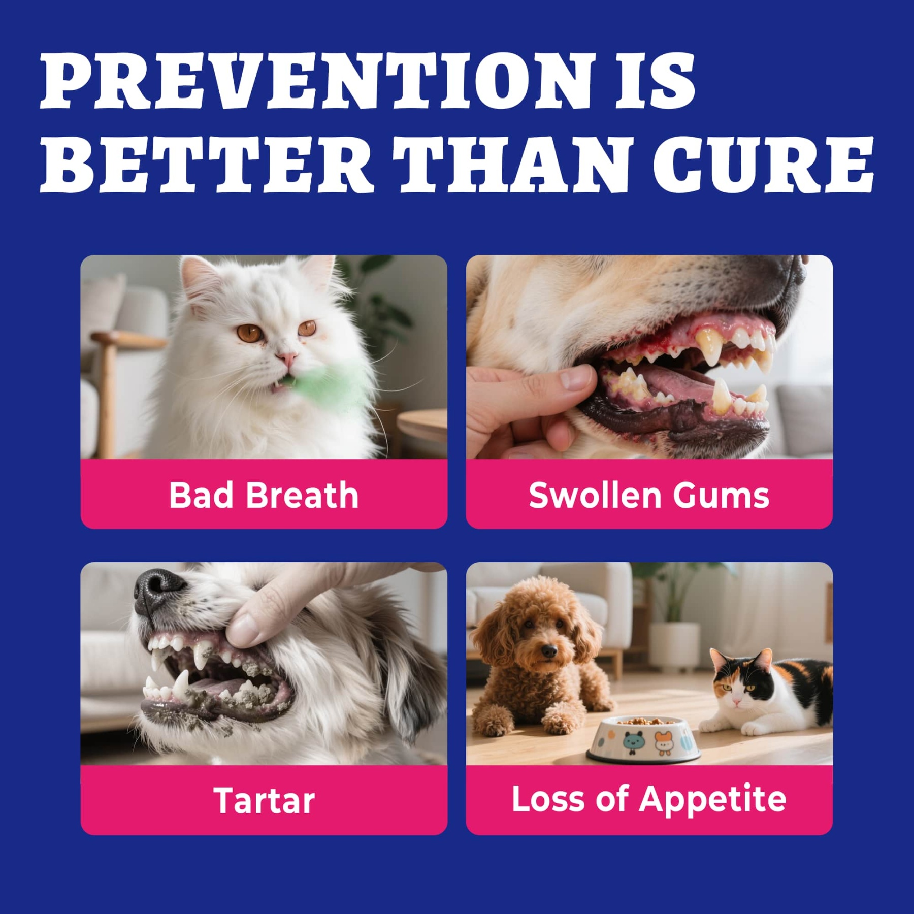 Wellix Cat & Dog Breath Freshener Water Additive - Natural Probiotic & Lysozyme Mouthwash for Teeth Cleaning & Dental Care - Reduces Bad Breath & Plaque - 12.85 fl oz-CritterCorner