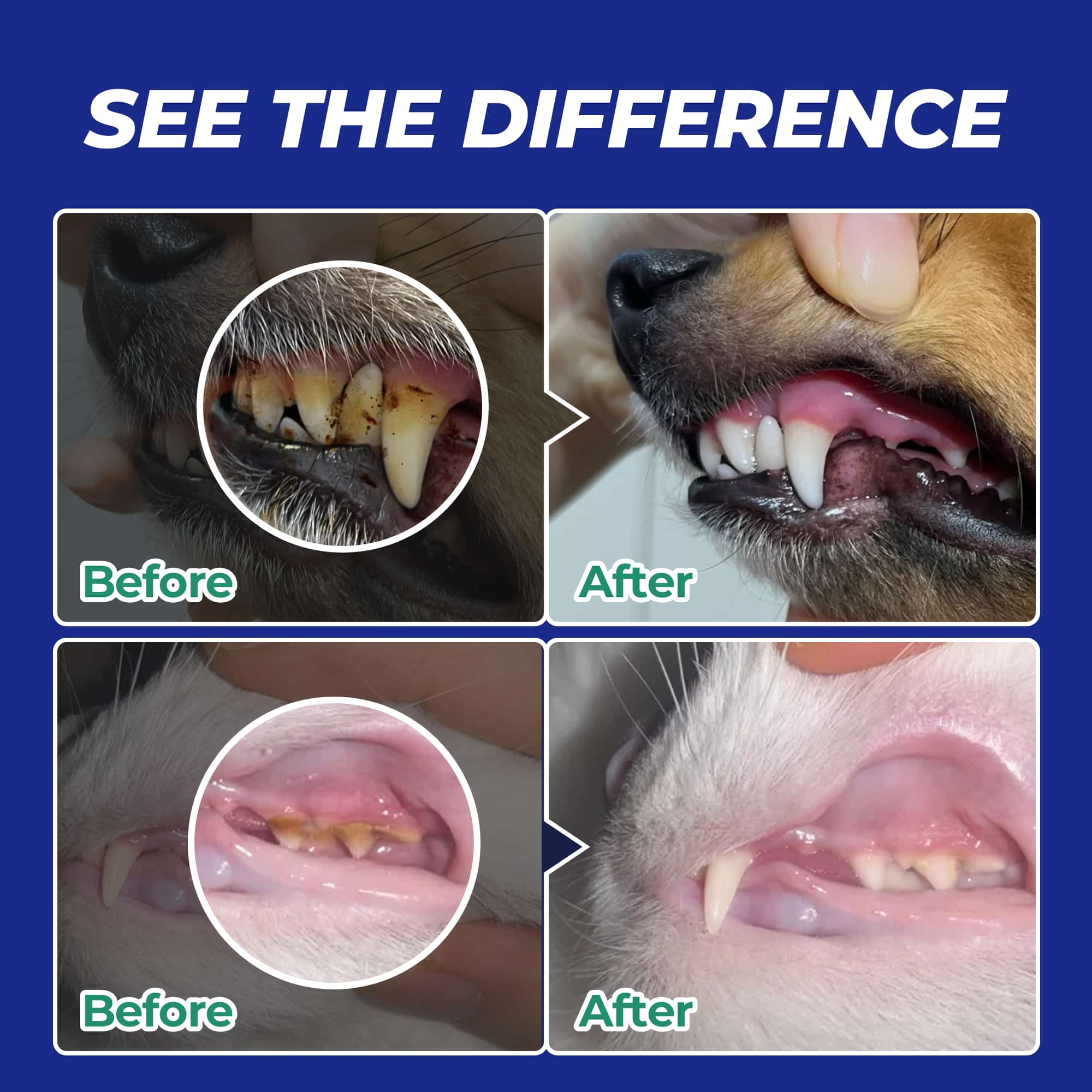 Wellix Dog & Cat Dental Powder – 8.82oz Teeth Cleaning Powder for Fresh Breath & Plaque Removal-CritterCorner