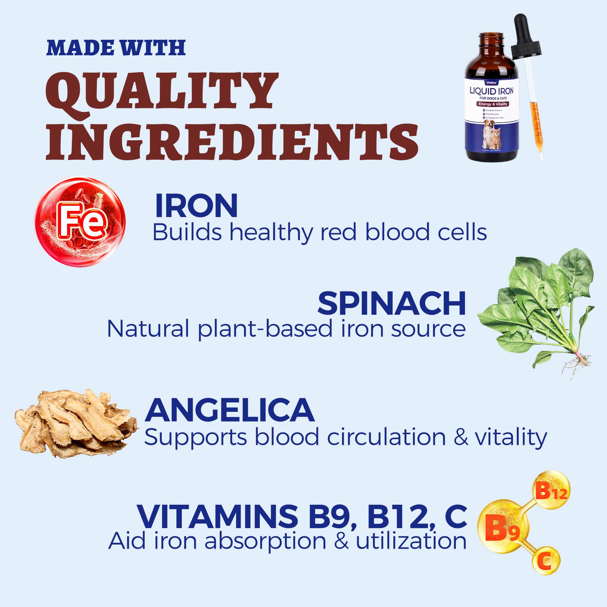 Wellix Liquid Iron Supplement for Cats & Dogs – 4 oz Vitamin B12 & C for Anemia, Hemoglobin Boost & Energy Support, for Growing Puppies and Kittens-CritterCorner