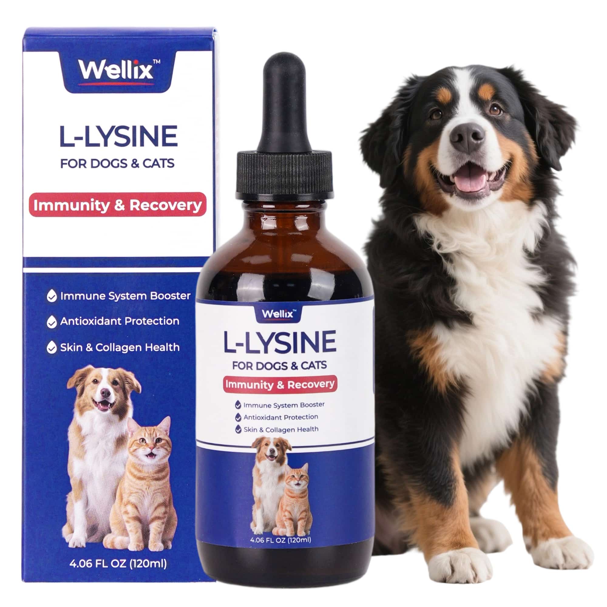 Wellix L-Lysine Drops for Cats & Dogs – 4 oz Chicken Flavor, Immune & Respiratory Support, Eye Care, Runny Nose & Cold Relief-CritterCorner