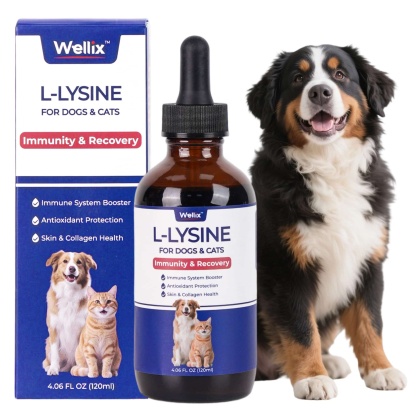 Wellix L-Lysine Drops for Cats & Dogs – 4 oz Chicken Flavor, Immune & Respiratory Support, Eye Care, Runny Nose & Cold Relief-CritterCorner