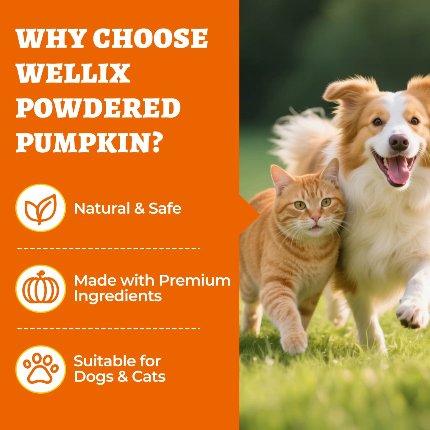 Wellix Pumpkin Powder for Dogs & Cats – Fiber Supplement for Digestive Health, Stool Firming & Gut Support-CritterCorner