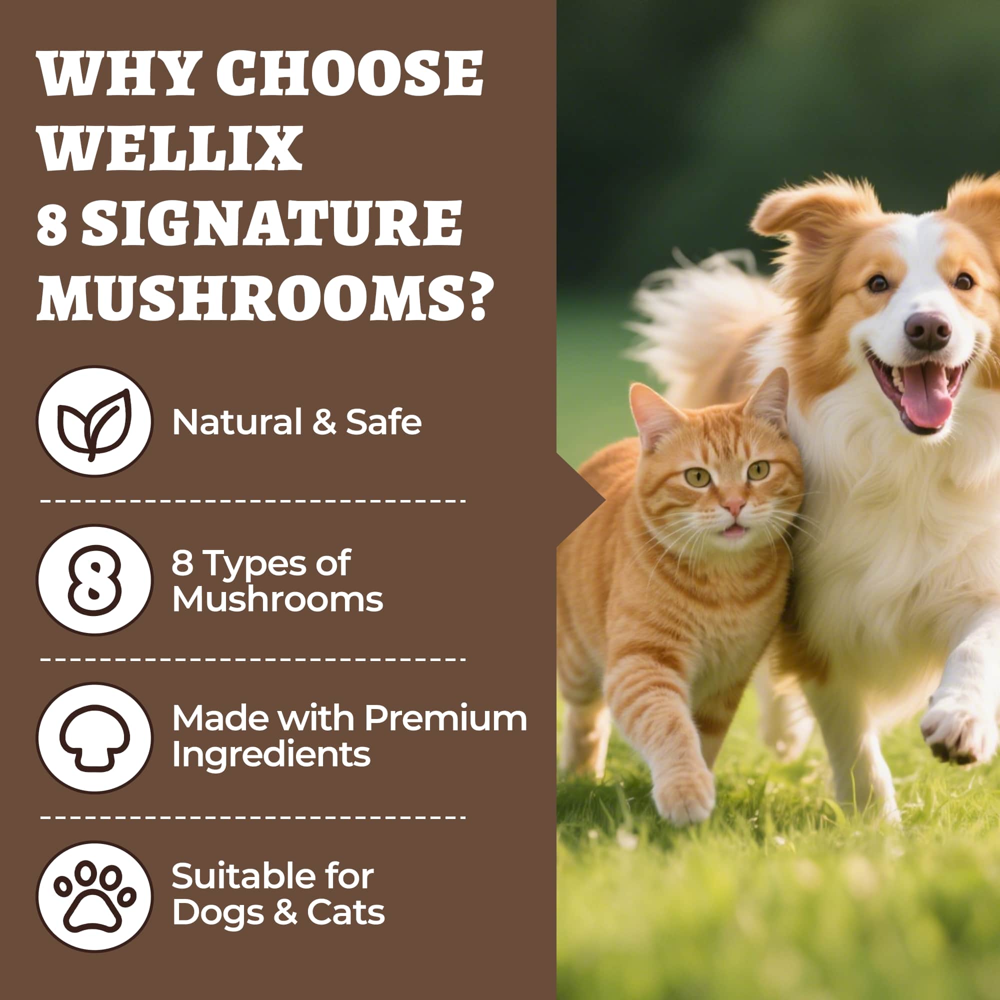 Wellix Mushroom Powder Powder for Dogs & Cats – With 8 Mushroom Blend Including Turkey Tail, Supports Immune, Digestive & Kidney Health-CritterCorner