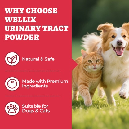 Wellix Urinary Powder for Dogs & Cats – 8.8 oz with D-Mannose & Cranberry Powder for UTI, Bladder & Kidney Support-CritterCorner