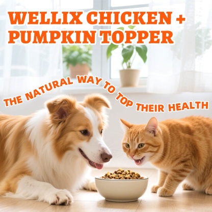 Wellix Chicken & Pumpkin Freeze-Dried Treats for Cats & Dogs – Grain-Free Crunchy Food Topper & Training Snacks, Supports Gut Health & Digestive System-CritterCorner