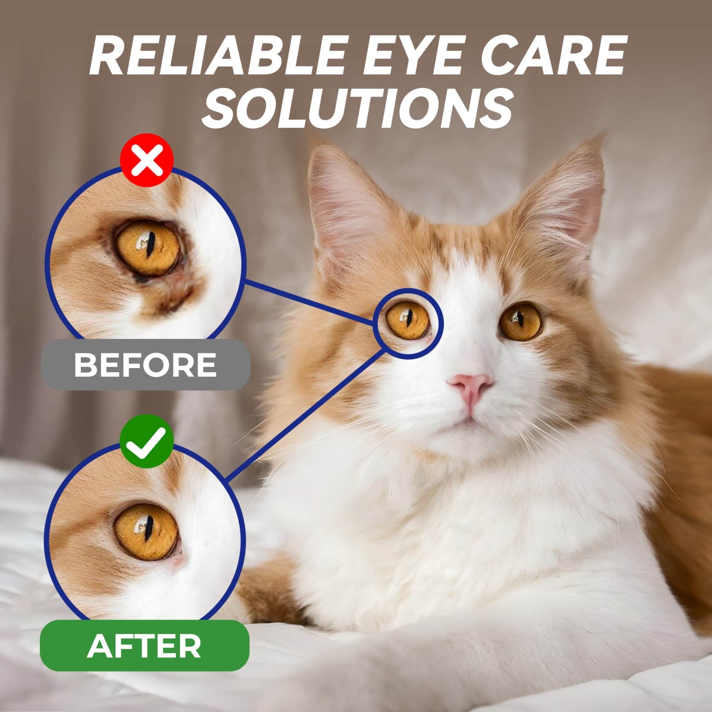 Wellix Pet Eye Drops – 60ml Blueberry Soothing Formula for Eye Allergy & Infection Treatment -CritterCorner