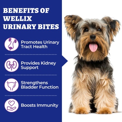 Wellix Urinary Bites for Dogs – 260 Count with Cranberry & D-Mannose for Urinary, Bladder & Kidney Support-CritterCorner