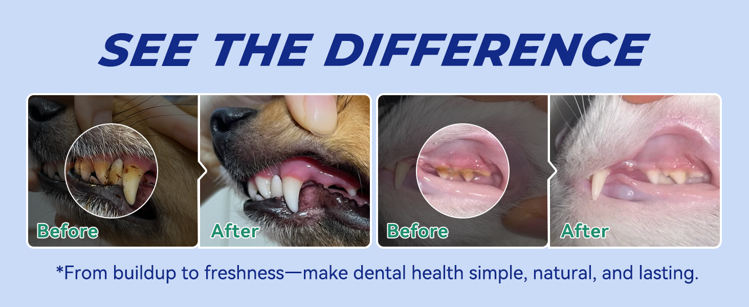 pet lab co dental powder