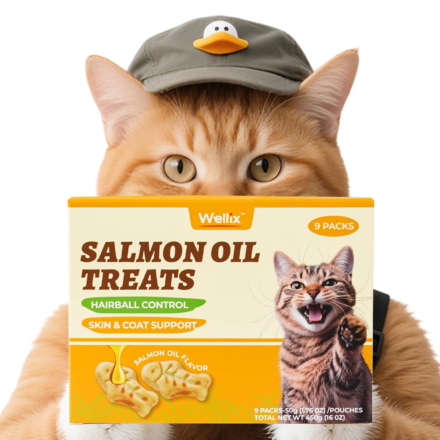 Wellix Cat Treats - Salmon Oil & Cat Grass Flavor Healthy Kitten Snacks for Joint Support & Healthy Skin - Indoor Cat Biscuits - 16oz/450g-CritterCorner