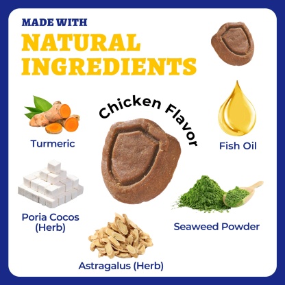 Wellix Dog Allergy & Immune Bites – 260 Counts Natural Ingredient Chews to Strengthen Immunity, Promote Shiny Coat, Relieve Itch & Redness-CritterCorner