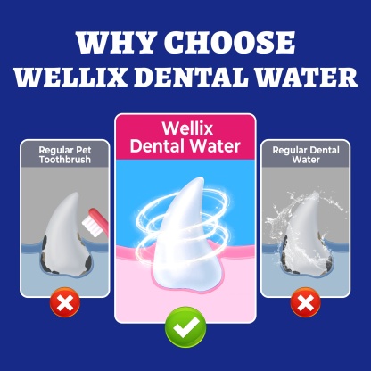 Wellix Cat & Dog Breath Freshener Water Additive - Natural Probiotic & Lysozyme Mouthwash for Teeth Cleaning & Dental Care - Reduces Bad Breath & Plaque - 12.85 fl oz-CritterCorner