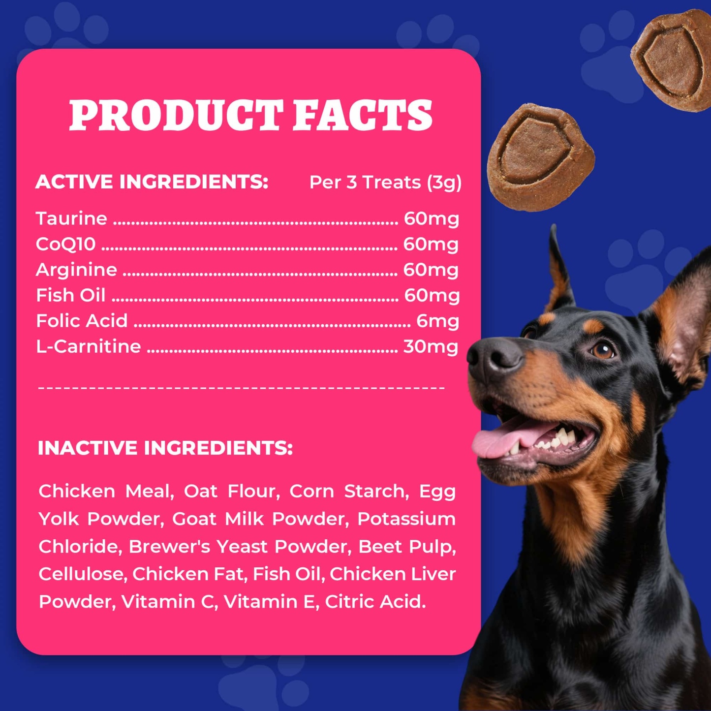 Wellix Cardio Bites for Dogs – 260 Counts with CoQ10, Taurine, Fish Oil & L-Carnitine, Supports Cardiovascular Health & Antioxidant-CritterCorner