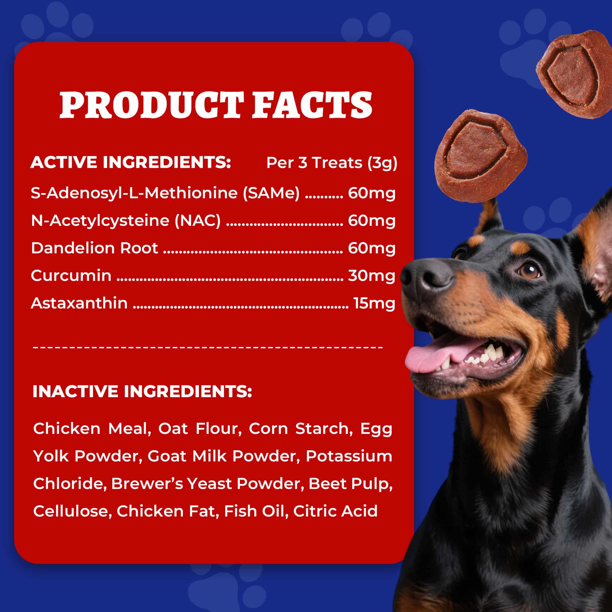 Wellix Liver Support for Dogs - Milk Thistle & Omega-3 Dog Supplement for Liver, Heart & Antioxidant Support - Chicken Flavor - 260 Bites-CritterCorner