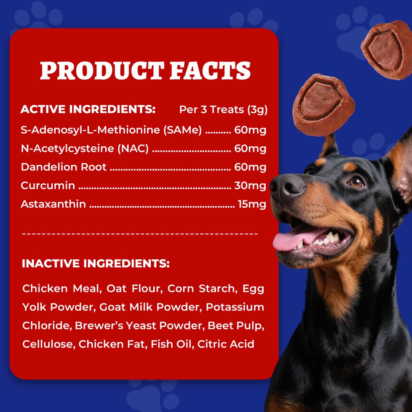 Wellix Liver Support for Dogs - Milk Thistle & Omega-3 Dog Supplement for Liver, Heart & Antioxidant Support - Chicken Flavor - 260 Bites-CritterCorner