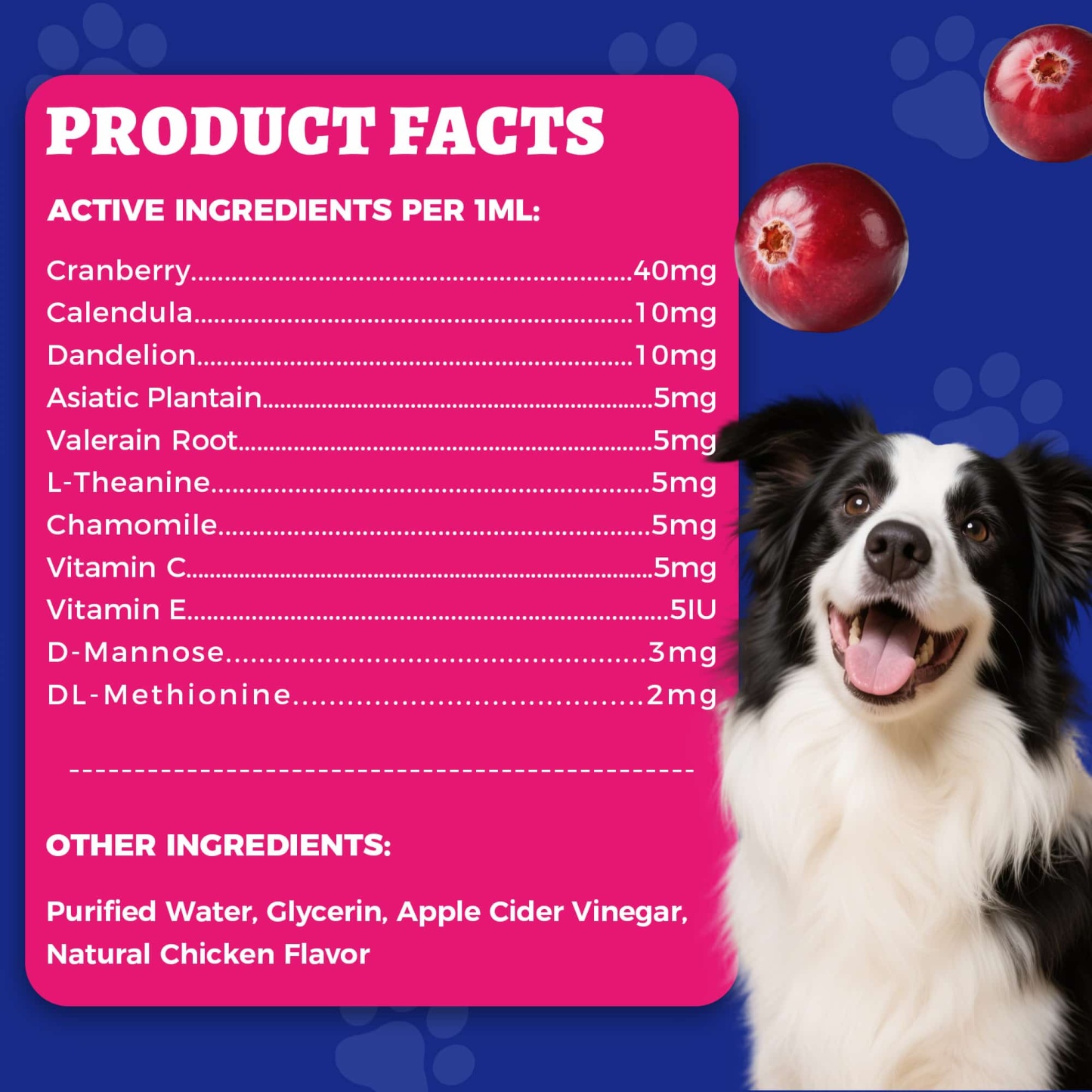 Wellix UrinaryTract Drops with Cranberry for Cats & Dogs – 4 oz Cranberry & D-Mannose for Urinary, Bladder & Kidney Health-CritterCorner