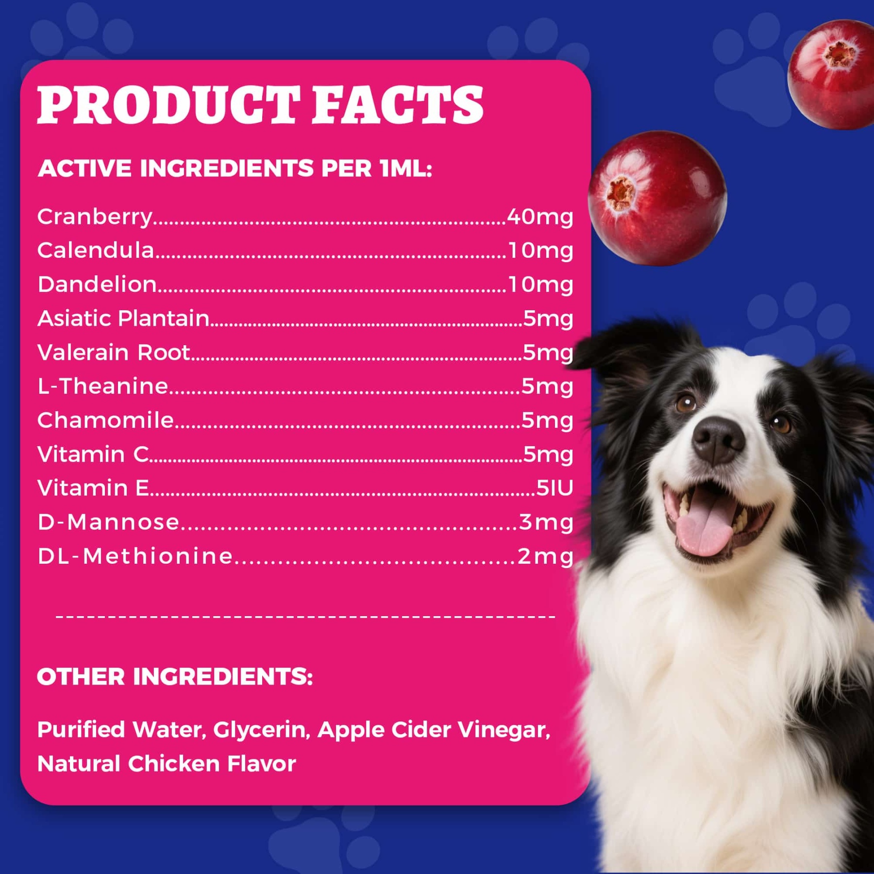Wellix UrinaryTract Drops with Cranberry for Cats & Dogs – 4 oz Cranberry & D-Mannose for Urinary, Bladder & Kidney Health-CritterCorner
