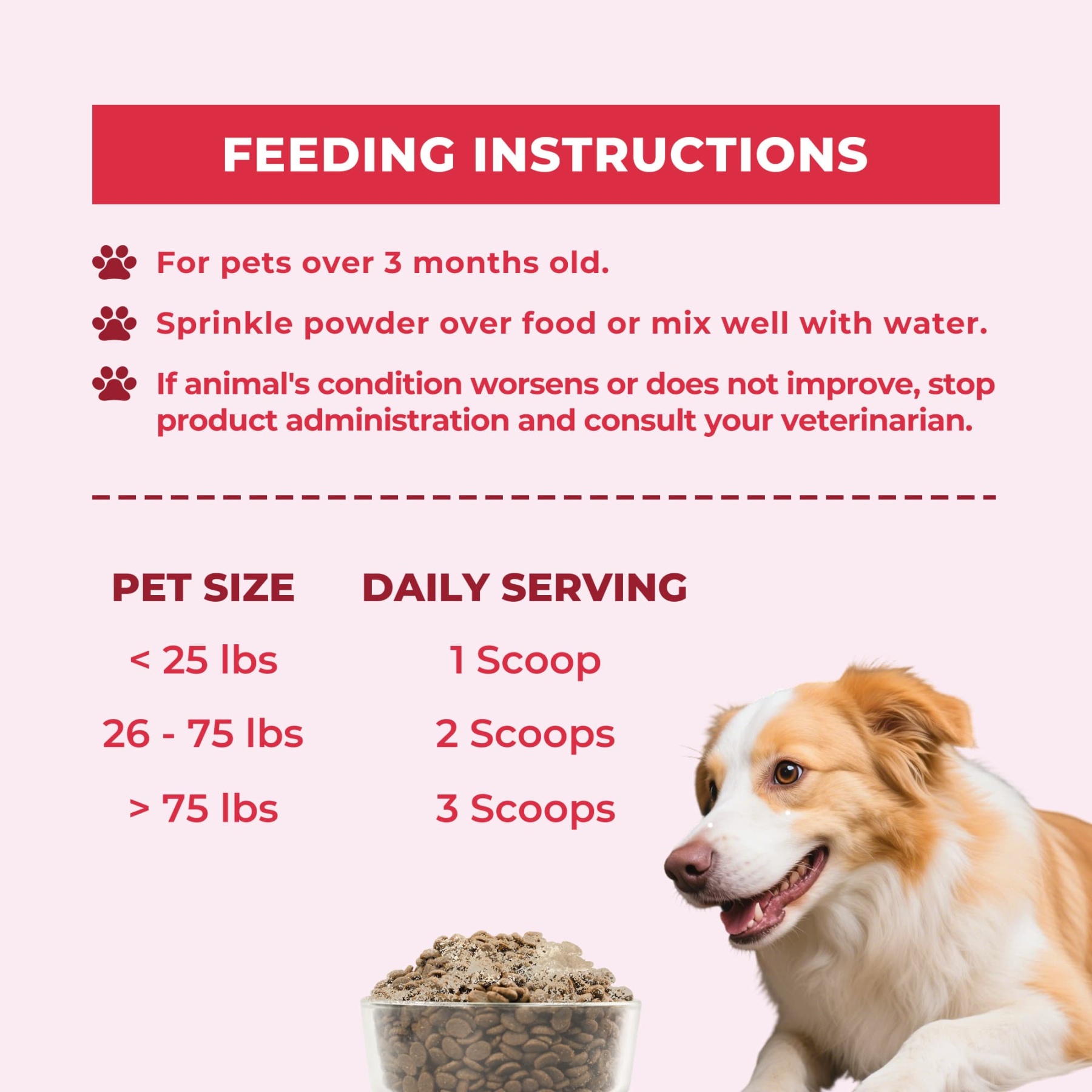 Wellix Urinary Powder for Dogs & Cats – 8.8 oz with D-Mannose & Cranberry Powder for UTI, Bladder & Kidney Support-CritterCorner