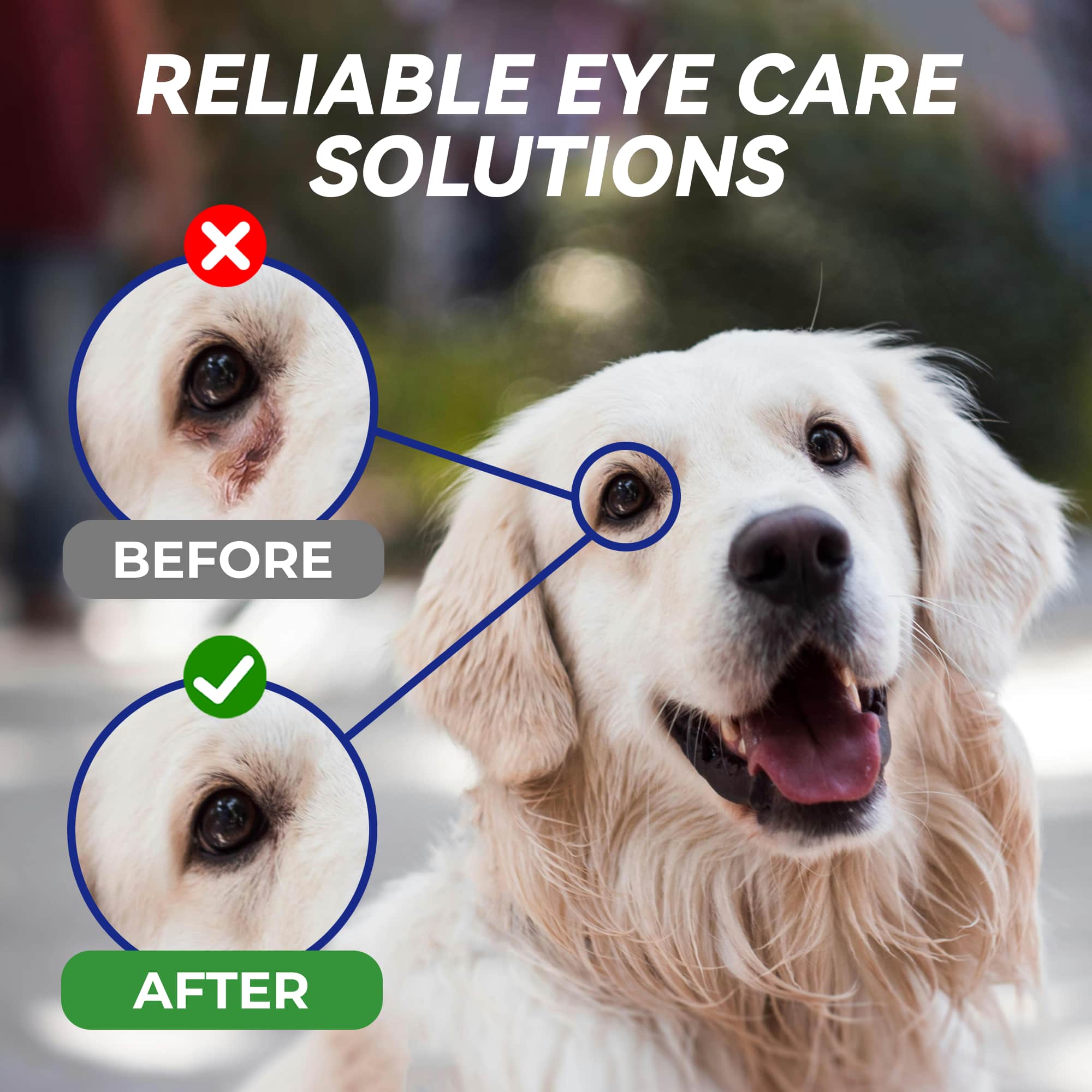 Wellix Pet Eye Drops – 60ml Blueberry Soothing Formula for Eye Allergy & Infection Treatment -CritterCorner