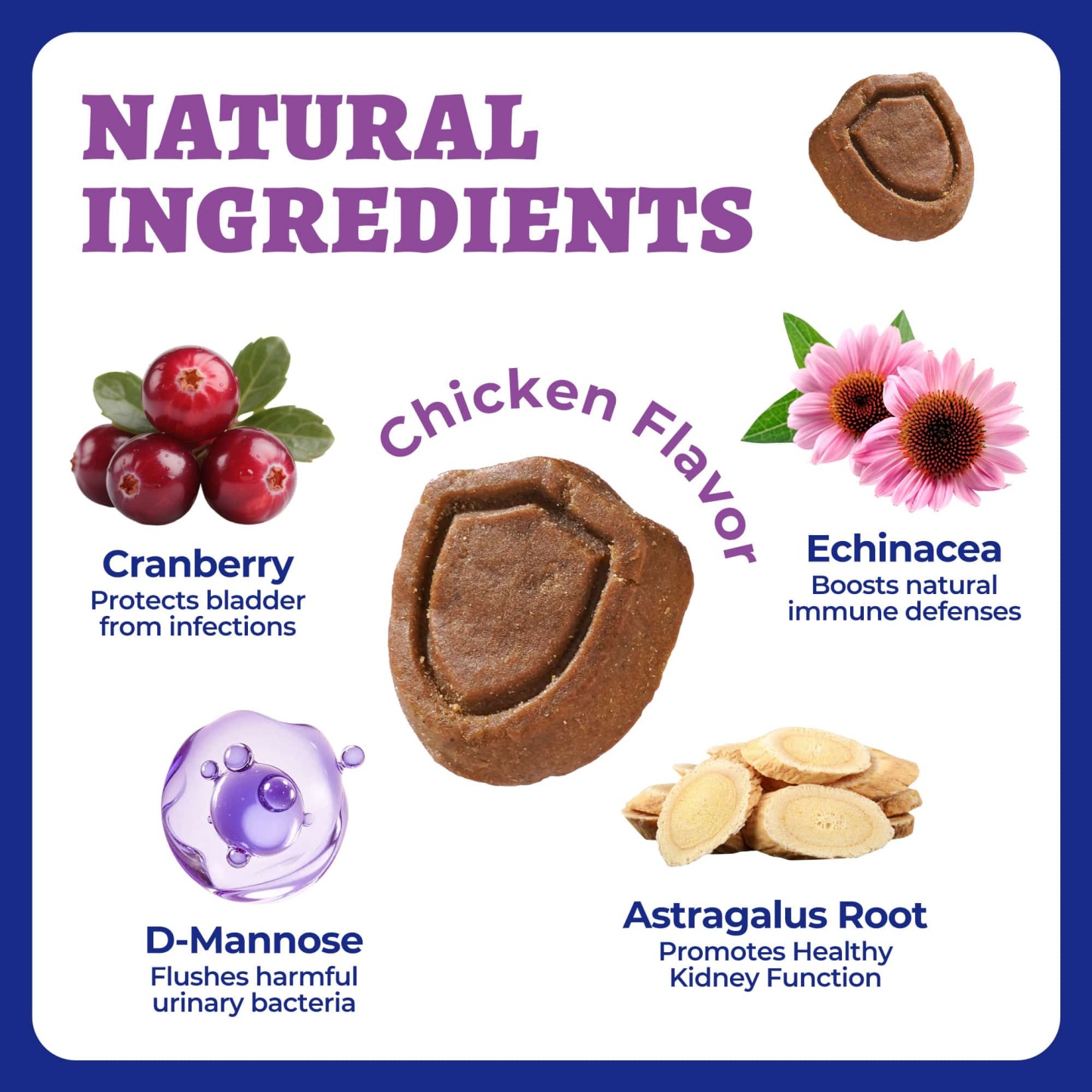 Wellix Urinary Bites for Dogs – 260 Count with Cranberry & D-Mannose for Urinary, Bladder & Kidney Support-CritterCorner