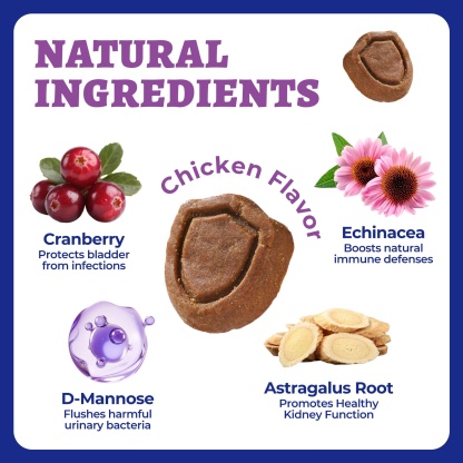 Wellix Urinary Bites for Dogs – 260 Count with Cranberry & D-Mannose for Urinary, Bladder & Kidney Support-CritterCorner