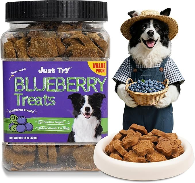 Just Try 15 OZ Pumpkin Dog Treats Biscuits Digestive Support Gut Health Training Treats Healthy Dog Treats