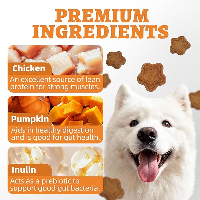 Just Try 15 OZ Pumpkin Dog Treats Biscuits Digestive Support Gut Health Training Treats Healthy Dog Treats