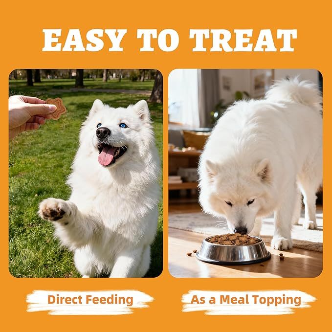 Just Try 15 OZ Pumpkin Dog Treats Biscuits Digestive Support Gut Health Training Treats Healthy Dog Treats