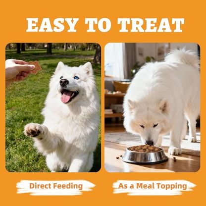 Just Try 15 OZ Pumpkin Dog Treats Biscuits Digestive Support Gut Health Training Treats Healthy Dog Treats