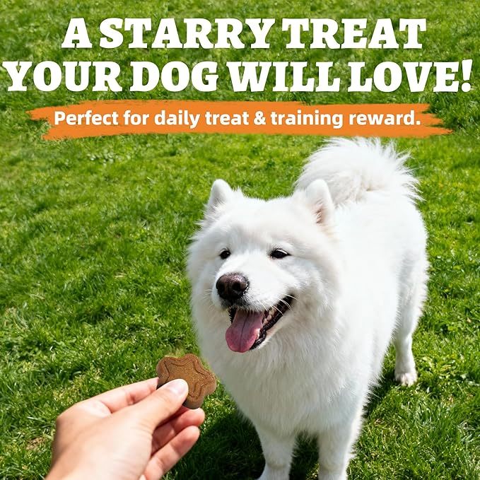 Just Try 15 OZ Pumpkin Dog Treats Biscuits Digestive Support Gut Health Training Treats Healthy Dog Treats
