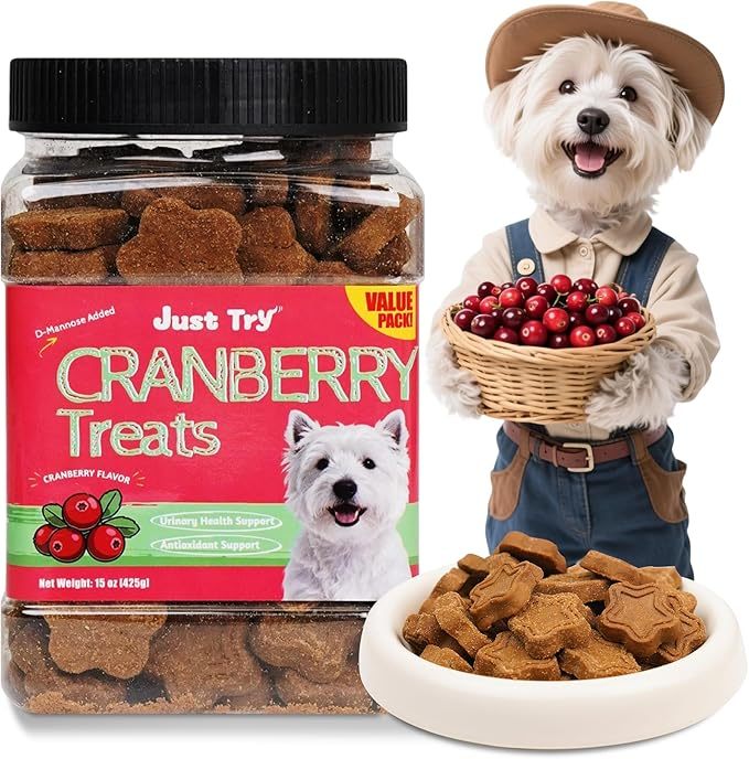 Just Try 15 OZ Pumpkin Dog Treats Biscuits Digestive Support Gut Health Training Treats Healthy Dog Treats