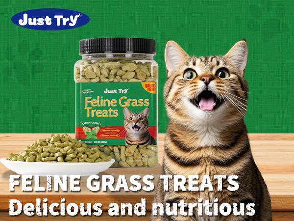 JUST TRY 13.4 OZ Cat Grass Treats Natural Salmon Flavor Healthy Cat Snacks Training Biscuits Catnip for Cats Dental and Hairball Control Treats