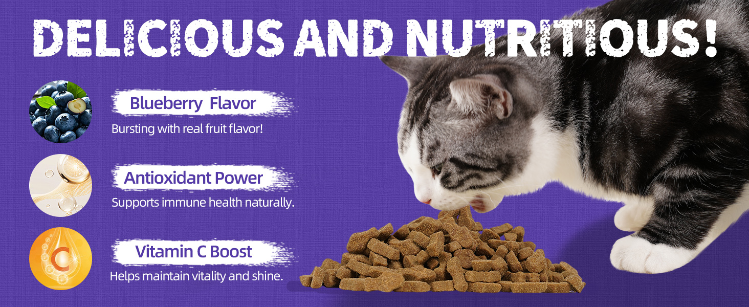 Blueberry Cat Treats for Indoor Cats