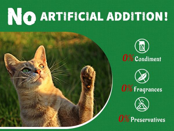 JUST TRY 13.4 OZ Cat Grass Treats Natural Salmon Flavor Healthy Cat Snacks Training Biscuits Catnip for Cats Dental and Hairball Control Treats