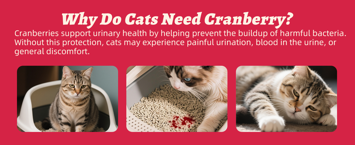 freeze dried cat food topper