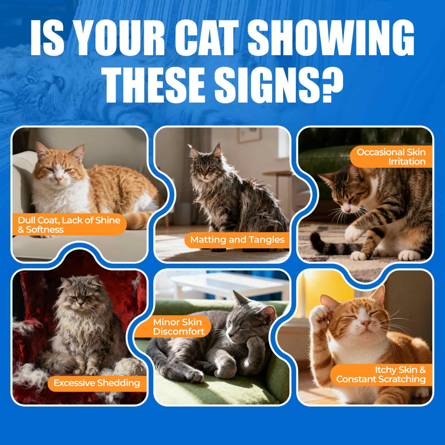 JUSTTRY 300 Bites Cat Skin & Coat Bites – Cat Omega-3 Salmon Oil for Healthy Skin, Itchy Skin Relief & Cat Shedding Control, 6.35oz, 300 Bites-CritterCorner