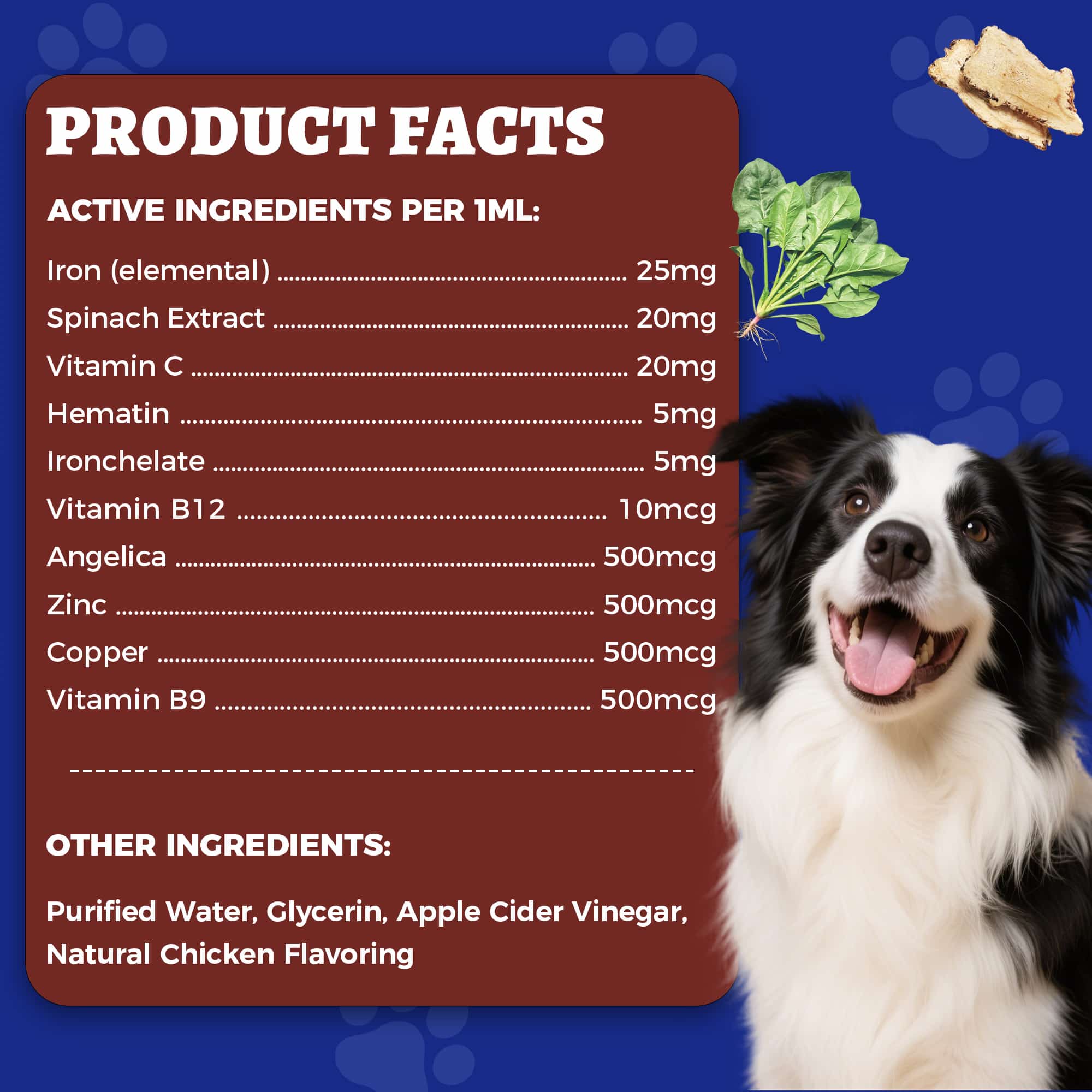 Wellix Liquid Iron Supplement for Cats & Dogs – 4 oz Vitamin B12 & C for Anemia, Hemoglobin Boost & Energy Support, for Growing Puppies and Kittens-CritterCorner