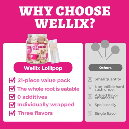 Wellix Freeze Dried Lollipop Dog & Cat Treats - High Protein Chicken Cat Treats with Cat Grass, Dragon Fruit & Goat Milk - Low Calorie Training Snacks 21pcs-CritterCorner