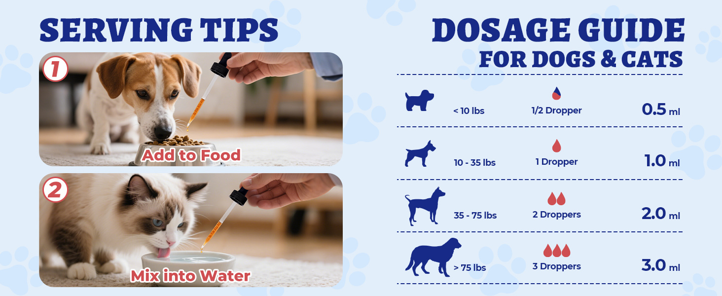 cat sneezing treatment