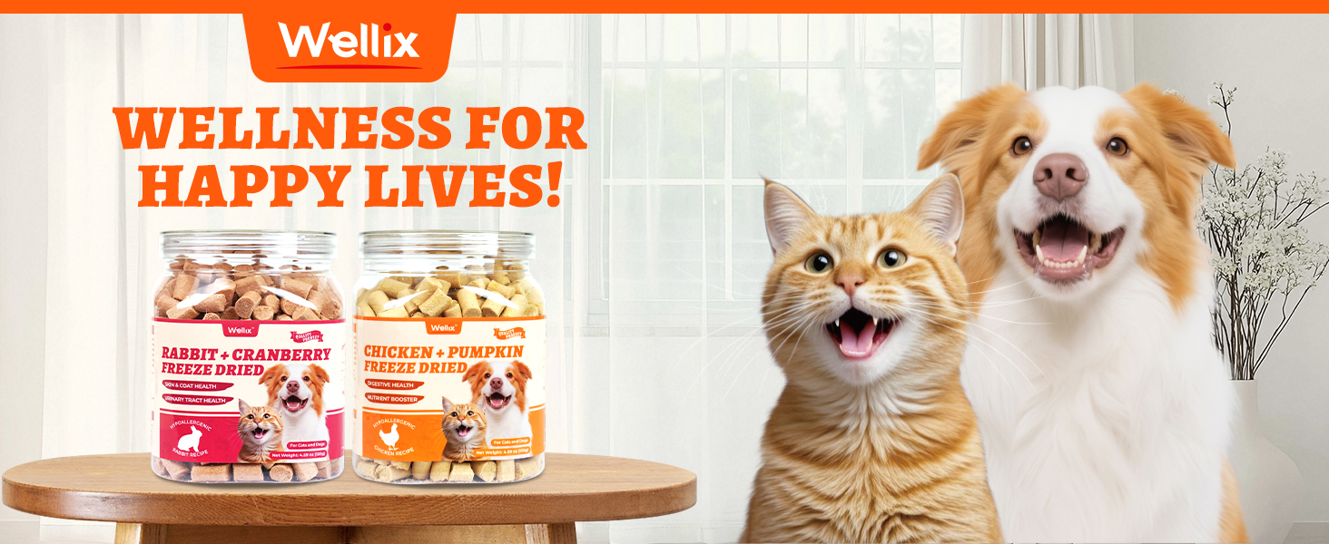 dog treats freeze dried