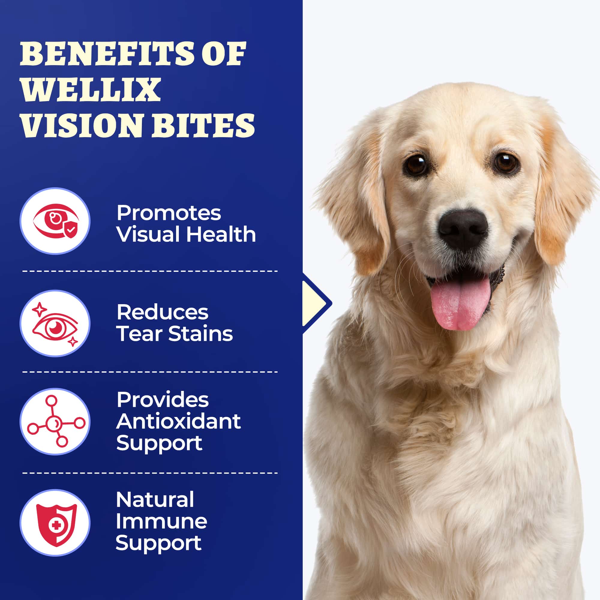 Wellix Dog Vision Bites – 260 Count with Cranberry, Lutein & Taurine for Tear Stain Removal & Vision Health-CritterCorner