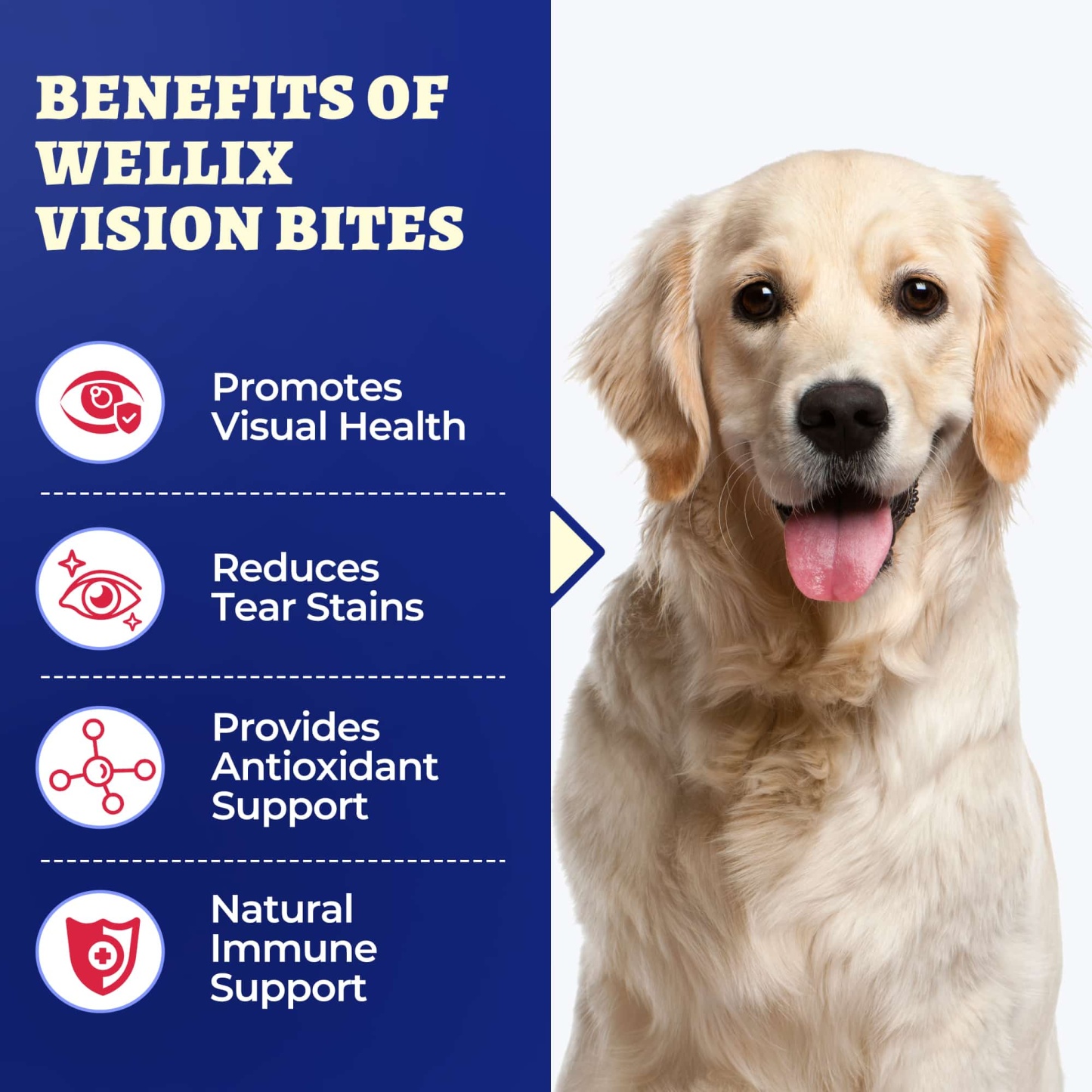 Wellix Dog Vision Bites – 260 Count with Cranberry, Lutein & Taurine for Tear Stain Removal & Vision Health-CritterCorner